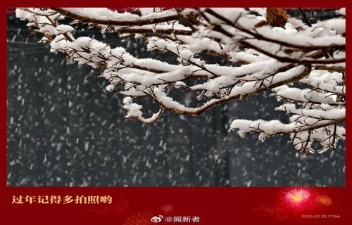 产假延长至一年费用由何承担